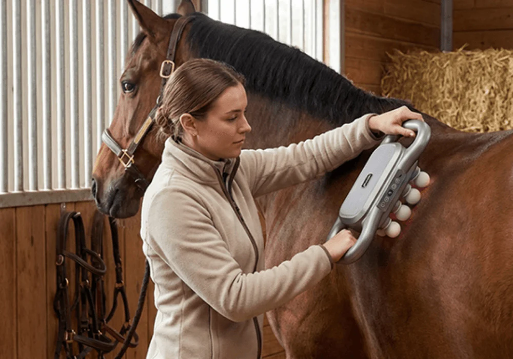 Designed for horses who spook